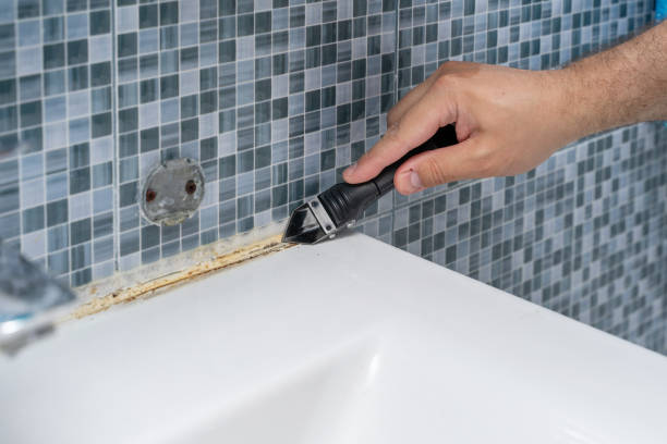  Charles City, IA Mold Removal Pros